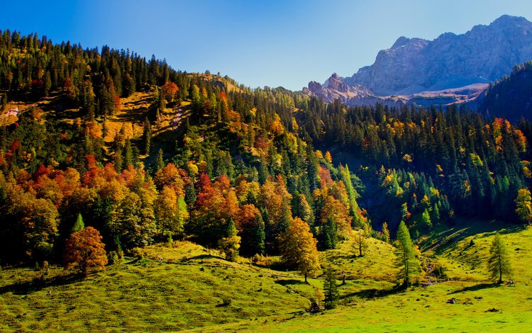 небо, австрия, деревья, тироль, горы, карвендель, холмы, зелень, лес, пейзаж, осень, the sky, austria, trees, tyrol, mountains, karwendel, hills, greens, forest, landscape, autumn