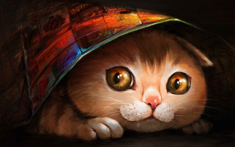 морда, арт, рисунок, кошка, покрывало, прячется, кошка под ковриком, ryuuka nagare, face, art, figure, cat, blanket, hiding, the cat under the mat