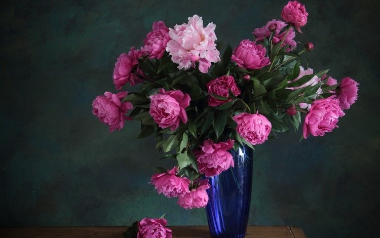 цветы, букет, розовые, ваза, синяя, стеклянная ваза, пион, пионы, flowers, bouquet, pink, vase, blue, glass vase, peony, peonies