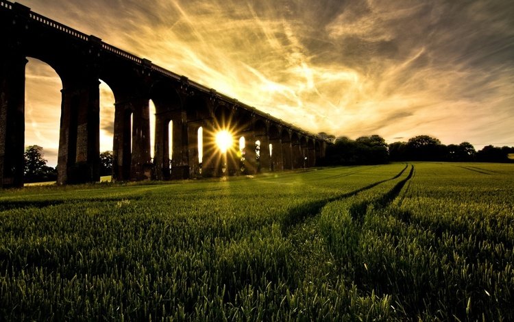 трава, солнце, мост, красиво, grass, the sun, bridge, beautiful