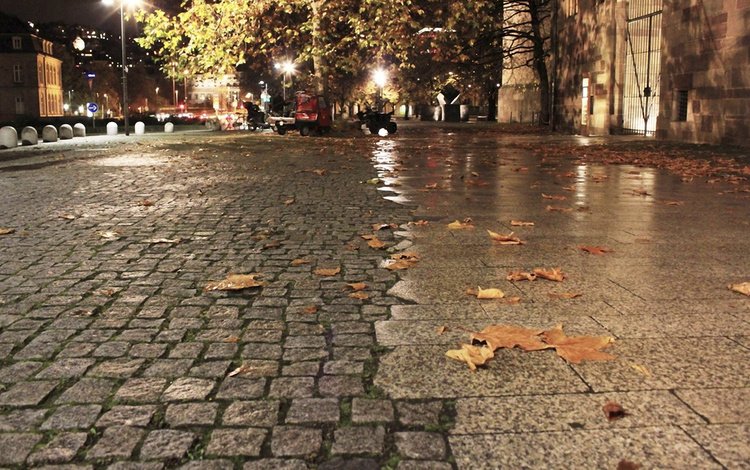 листья, город, осень, leaves, the city, autumn