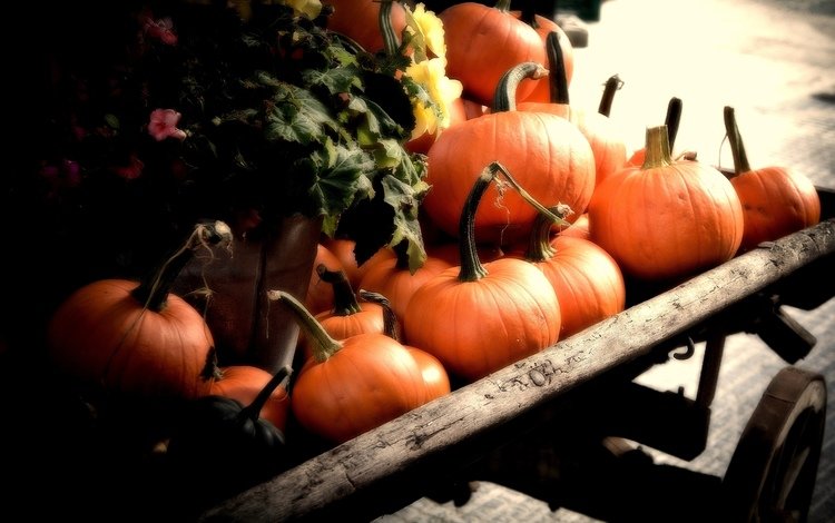 осень, урожай, овощи, тыква, телега, autumn, harvest, vegetables, pumpkin, cart
