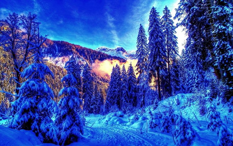 небо, зимний лес, горы, снег, лес, зима, утро, мороз, сугробы, the sky, winter forest, mountains, snow, forest, winter, morning, frost, the snow