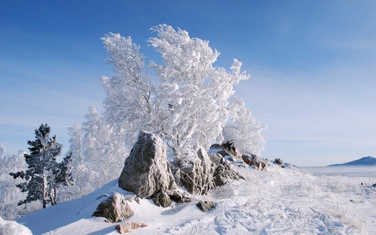 деревья, горы, снег, камни, зима, поле, склон, иней, trees, mountains, snow, stones, winter, field, slope, frost