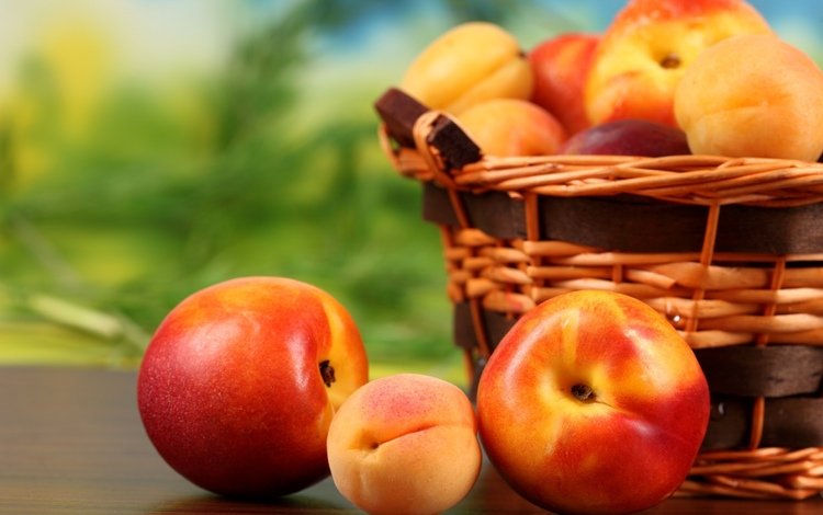 фрукты, корзина, плоды, персики, абрикосы, нектарин, fruit, basket, peaches, apricots, nectarine