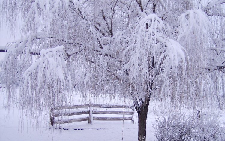 снег, дерево, зима, ветки, мороз, иней, забор, зимний лес, snow, tree, winter, branches, frost, the fence, winter forest