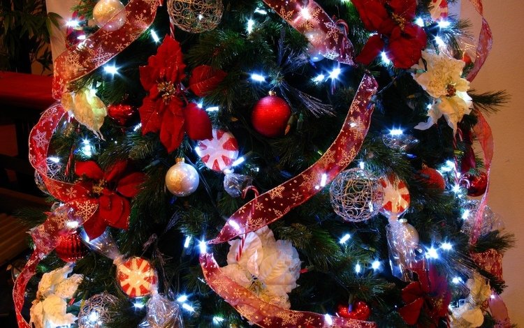 цветы, лента, огни, праздник, новый год, рождество, елка, елочные игрушки, шары, новогодние игрушки, зима, новогодние украшения, пуансеттия, снежинки, новогодний шар, гирлянды, flowers, tape, lights, holiday, new year, christmas, tree, christmas decorations, balls, christmas toys, winter, poinsettia, snowflakes, christmas ball, garland