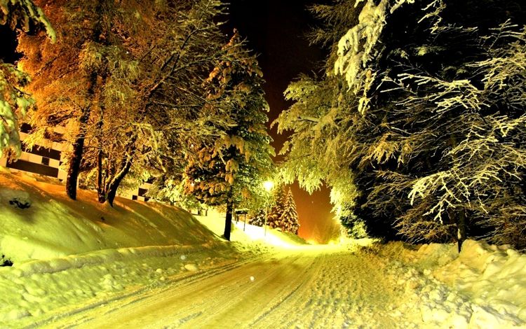 дорога, деревья, снег, зима, мороз, сугробы, снежная, road, trees, snow, winter, frost, the snow