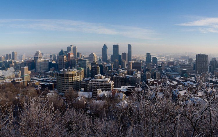 зима, канада, монреаль, winter, canada, montreal