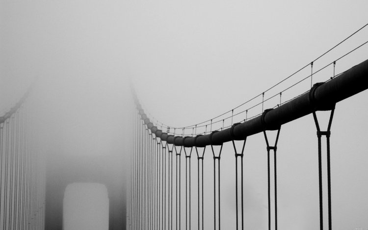 туман, мост, чёрно-белое, fog, bridge, black and white