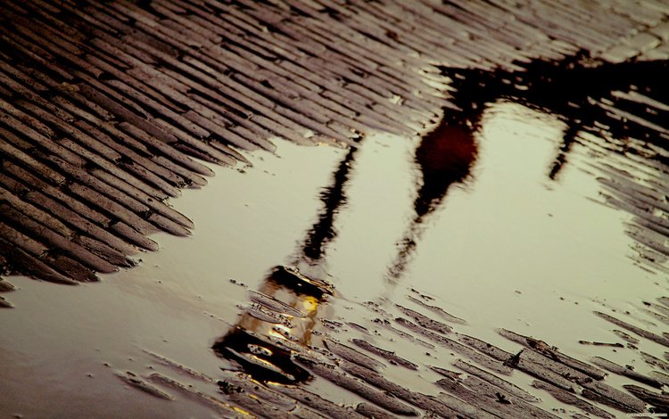 отражение, лужа, мостовая, reflection, puddle, bridge