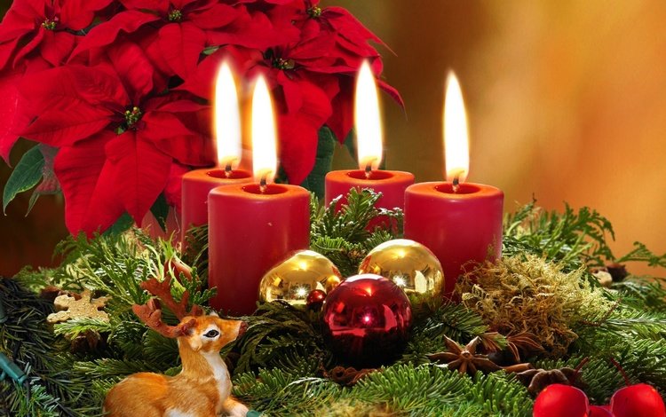 цветы, олененок, свечи, новогодние игрушки, новый год, новогодний шар, елка, шары, зима, ветки, елочные игрушки, flowers, fawn, candles, christmas toys, new year, christmas ball, tree, balls, winter, branches, christmas decorations
