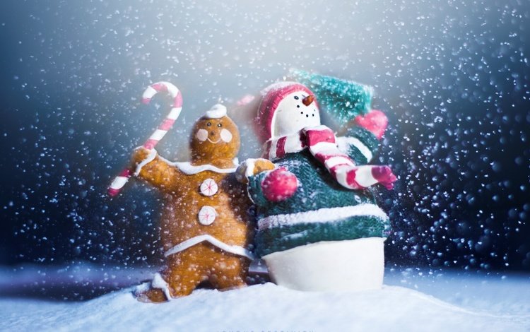 2013, снег, сувениры, новый год, пряник, макро, снеговик, игрушки, праздник, печенька, с новым годом, snow, souvenirs, new year, gingerbread, macro, snowman, toys, holiday, cookie, happy new year