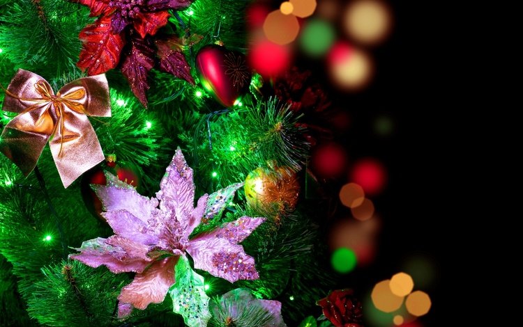 цветы, огоньки, гирлянда, огни, елочные, новый год, с новым годом, елка, боке, шары, 2013, блики, бантики, праздник, елочные украшения, flowers, garland, lights, christmas, new year, happy new year, tree, bokeh, balls, glare, bows, holiday, christmas decorations