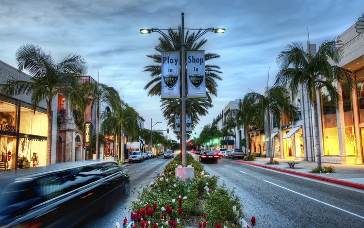 дорога, пальмы, улица, калифорния, road, palm trees, street, ca