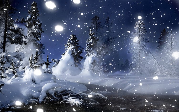 ночь, снег, лес, зима, елочки, night, snow, forest, winter, christmas trees