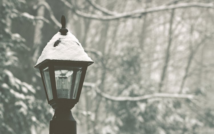 снег, лес, зима, парк, фонарь, snow, forest, winter, park, lantern