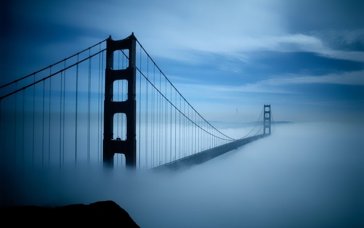 утро, туман, мост, подвесной, morning, fog, bridge, pendant