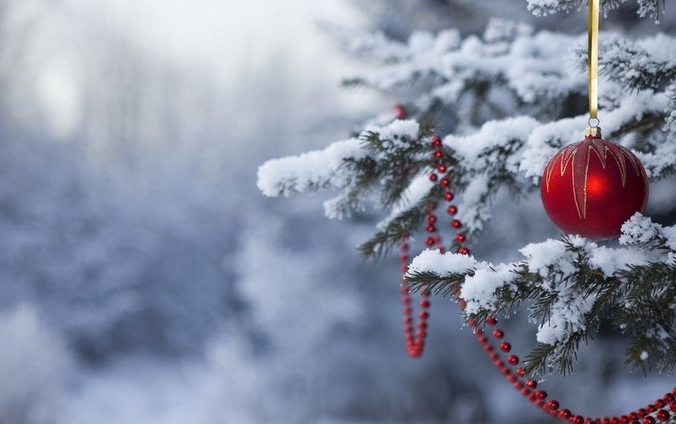 снег, елке, новый год, лес, зима, мороз, зимний лес, новогодняя игрушка, на живой, snow, the tree, new year, forest, winter, frost, winter forest, christmas toy, live