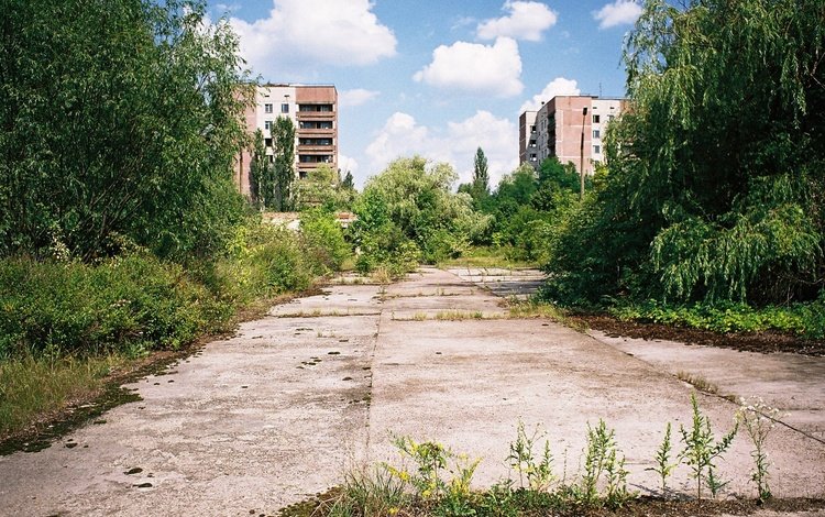 разруха, улицы, припять, мертвый город, devastation, street, pripyat, dead city