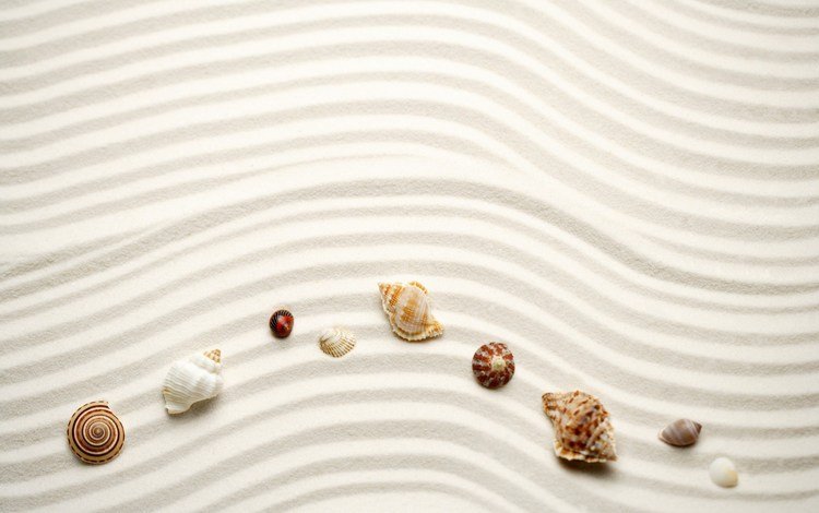 линии, волны, песок, ракушки, line, wave, sand, shell
