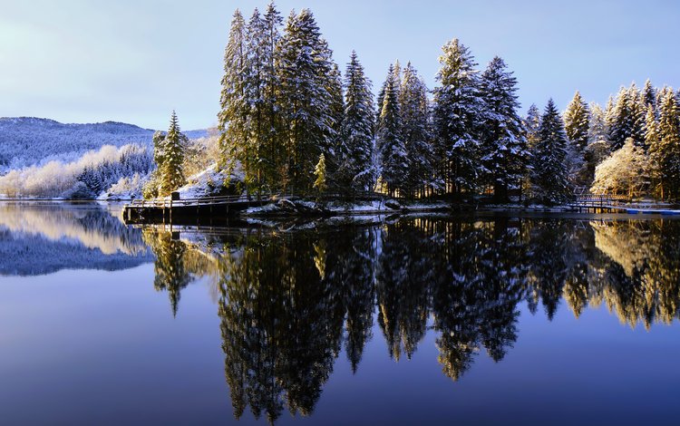 сосны, небо, озеро, снег, природа, лес, зима, отражение, иней, pine, the sky, lake, snow, nature, forest, winter, reflection, frost
