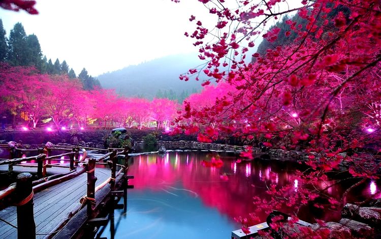 цветы, деревья, озеро, горы, весна, flowers, trees, lake, mountains, spring