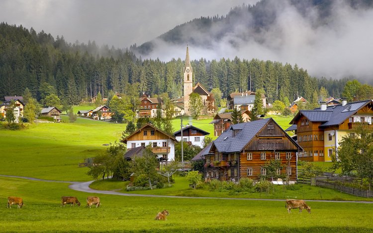 горы, деревня, австрия, дома, альпы, коровы, mountains, village, austria, home, alps, cows