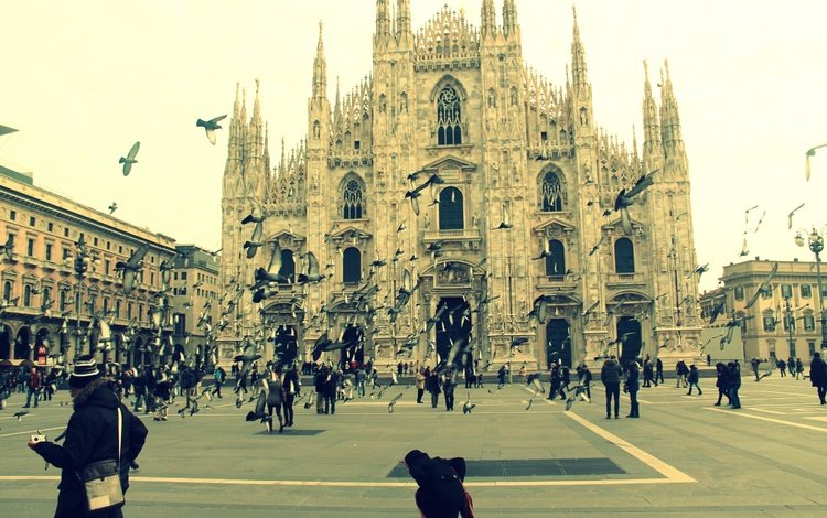 собор, люди, италия, площадь, голуби, милан, cathedral, people, italy, area, pigeons, milan