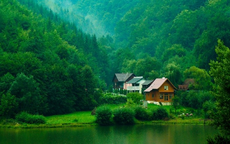 деревья, река, зелень, лес, кусты, домики, trees, river, greens, forest, the bushes, houses