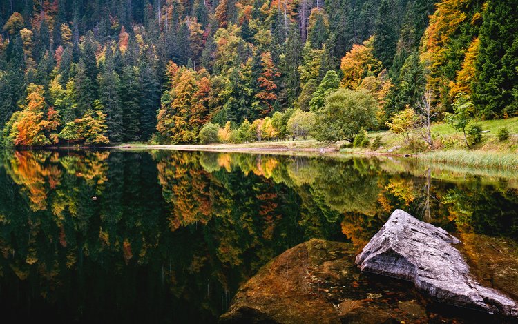 деревья, озеро, лес, осень, камень, trees, lake, forest, autumn, stone