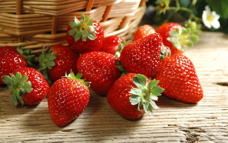 ягода, клубника, корзинка, berry, strawberry, basket