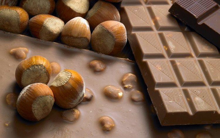 орехи, шоколад, плитка, фундук, nuts, chocolate, tile, hazelnuts