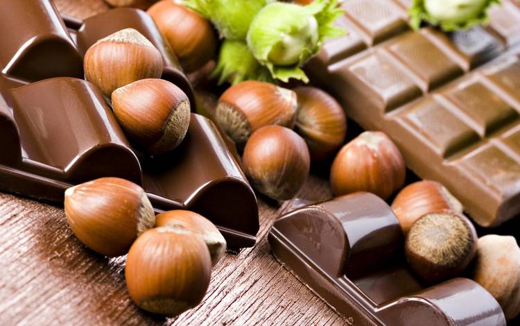 орехи, шоколад, фундук, лесной орех, скорлупа, плитки, nuts, chocolate, hazelnuts, hazelnut, shell, tiles