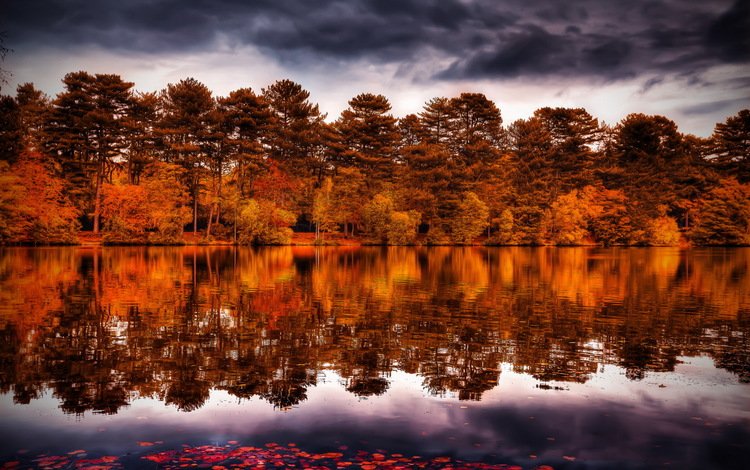 небо, заря, деревья, вода, тучи, отражение, утро, рассвет, осень, the sky, trees, water, clouds, reflection, morning, dawn, autumn