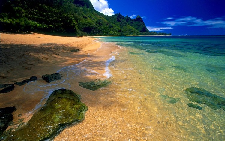 вода, солнце, природа, берег, волны, море, пляж, water, the sun, nature, shore, wave, sea, beach