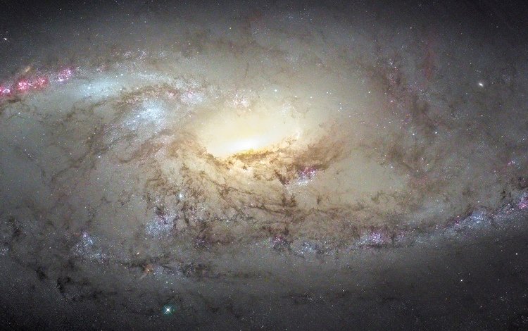 галактика, galaxy