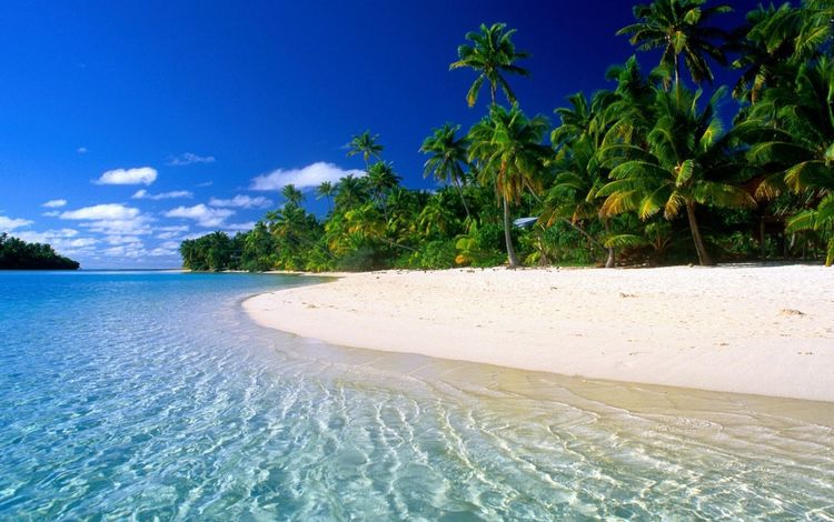 небо, песок, пляж, пальмы, океан, тропики, the sky, sand, beach, palm trees, the ocean, tropics