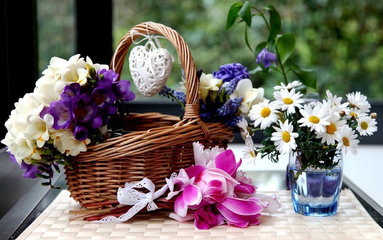 цветы, ромашки, корзинка, цикламены, гиацинты, фрезии, flowers, chamomile, basket, cyclamen, hyacinths, freesia