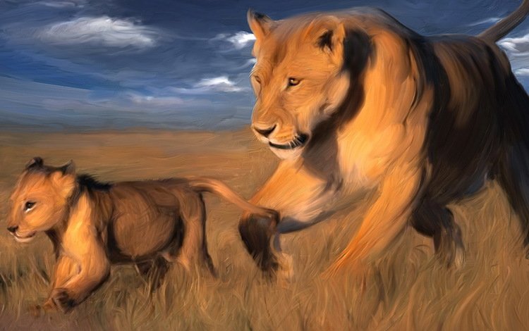 львица, львёнок, саванна, lioness, lion, savannah