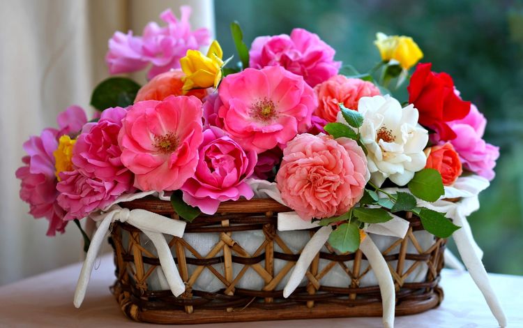 розы, лепестки, корзинка, korzinka, rozy, леспестки, roses, petals, basket, lepestki