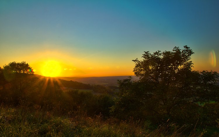 деревья, солнце, закат, лучи, горизонт, лето, красивый рассвет, trees, the sun, sunset, rays, horizon, summer, beautiful dawn