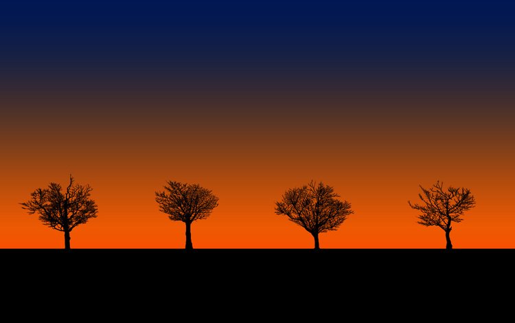 деревья, закат, силуэты, trees, sunset, silhouettes