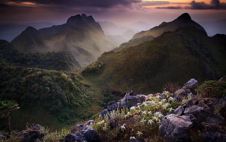 небо, цветы, горы, камни, тучи, таиланд, растительность, the sky, flowers, mountains, stones, clouds, thailand, vegetation