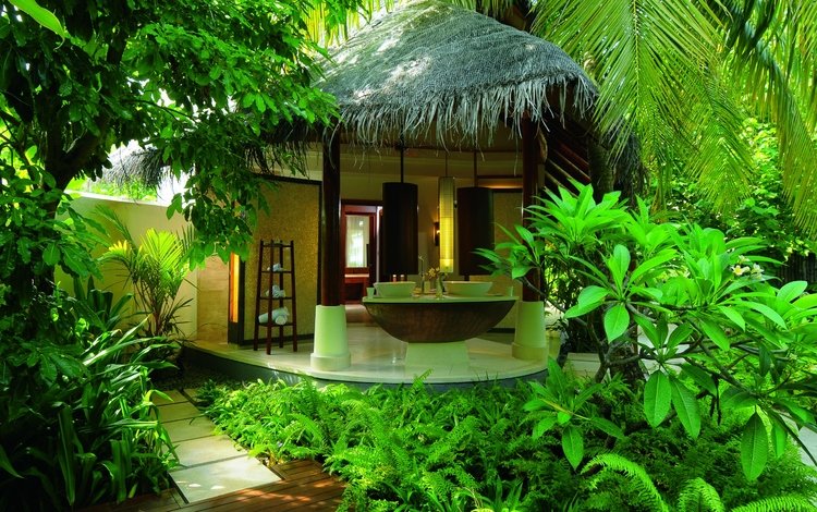 зелень, пальмы, бунгало, тропики, джунгли, отель, шри-ланка, шри ланка, greens, palm trees, bungalow, tropics, jungle, the hotel, sri lanka