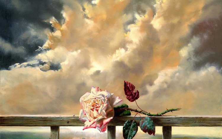 cvetok, roza, svezhest, zhivopis, обьлака, oblaka