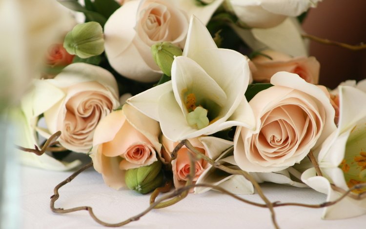 цветы, rozy, svadba, бутоны, romantika, розы, романтика, букет, свадьба, красиво, cvety, krasivo, flowers, buds, roses, romance, bouquet, wedding, beautiful