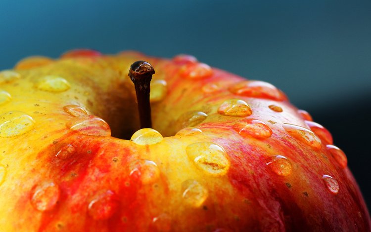 макро, капли, фрукты, яблоко, красивое, румяное, наливное, macro, drops, fruit, apple, beautiful, ruddy, liquid