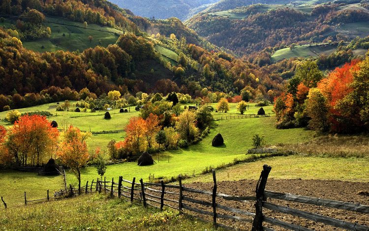 долина, трава, деревья, горы, природа, лес, сено, осень, забор, valley, grass, trees, mountains, nature, forest, hay, autumn, the fence