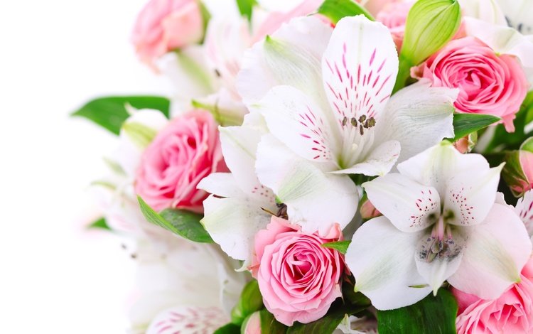 цветы, розы, букет, розовые, белые, орхидеи, flowers, roses, bouquet, pink, white, orchids